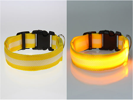 Dog Glow Up & Flashing LED Safety Collar - Gadget Idol