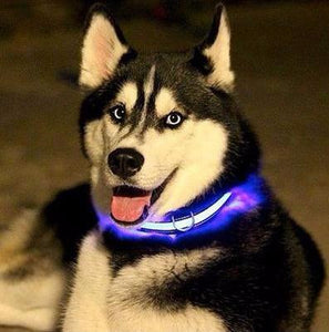 Dog Glow Up & Flashing LED Safety Collar - Gadget Idol